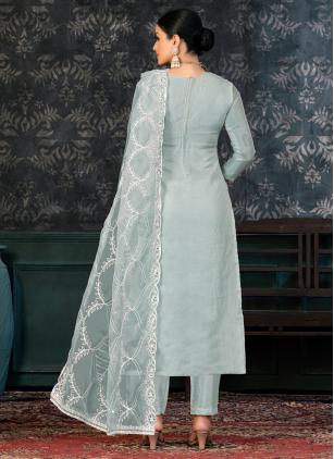 
                      Aqua Blue Organza Trendy Salwar Kameez