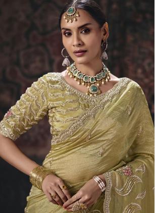 
                      Green Beads Embroidered Sequins Work Trendy Saree
