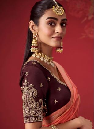 
                      Peach and Wine Embroidered Crepe Silk Saree