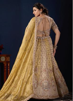 
                      Tissue Bridal Mustard Embroidered Lehenga Choli